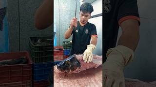 How to Remove Skin Bighead Fish  Fish Fillets fishcutting [upl. by Nosnev]