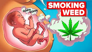 Why Smoking Weed is Actually BadGood For You Compilation [upl. by Aurel738]