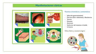 Blastocystis hominis [upl. by Ahsele544]