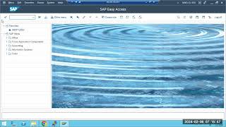 sapbasishana SAP UPGRADE PRESTEPS [upl. by Enitsuj]