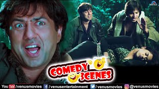 Naksha Comedy Scenes  Sunny Deol  Vivek Oberoi  Hindi Movies 2023  Hindi Action Movies [upl. by Garcia]