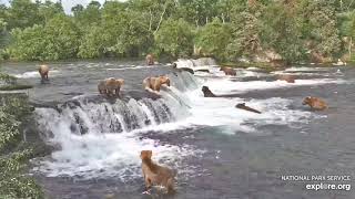 Super Epic Bearapalooza 17 Brown Bears at Brooks Falls 2 hours uninterrupted [upl. by Acined]