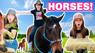 A Day in the Life of a Horse Owner Horses for Kids [upl. by Acitel]