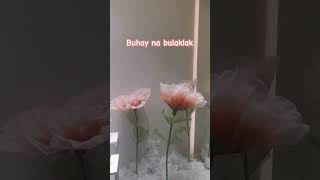 Buhay na bulaklak ofw youtubeshorts [upl. by Aleyak]