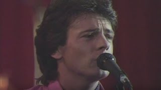 Rick Springfield  Jessies Girl  1981  MDA Telethon [upl. by Lebasile781]