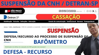 DETRAN SP SUSPENSÃO da CNH  Como fazer RECURSO [upl. by Nerej]