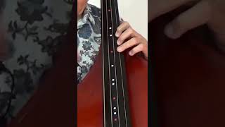 Posizione CROMATICA a capotasto in breve contrabbasso doublebass [upl. by Xenia]