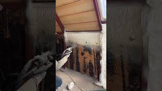 Polyurethane Spray Bungalow Insulation [upl. by Alamaj472]