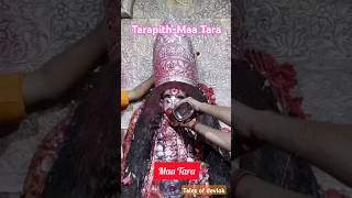 Tarapith Maa Tara  तारापीठ मा तारा 🕉️🙏 meditationmusic shorts maatara tarapith tarapithmandir [upl. by Anairo597]