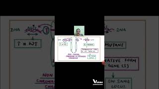 GENES AND ALLELES shorts BSC MSC ZOOLOGY LIFE SCIENCE SET LIFE SCIENCE CUET PG UPSC CSIRNET [upl. by Lyrret]