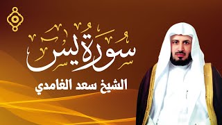 Humble Récitation de Cheikh Saad Al Ghamdi 💛Sourate YasIn  تلاوة خاشعة للشيخ سعد الغامدي  سورة يس [upl. by Namyl]