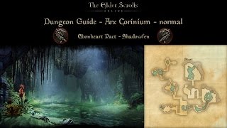 ESO Arx Corinium  Dungeon Guide [upl. by Grimbly]