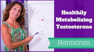 Healthily Metabolizing Testosterone [upl. by Atir]