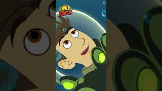 Activate Walrus Powers  Wild Kratts [upl. by Aicak]