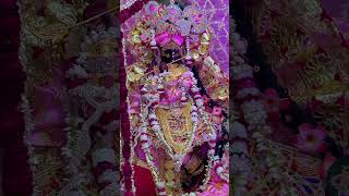 Jai shri krishna🙏 ytshorts hindudeity hindugod radharani vrindavan hindugodsmantra [upl. by Ibmab47]