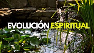 🌎Brian Weiss y la Reencarnación 📖Evolución Espiritual [upl. by Nemra77]