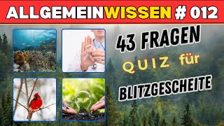 Allgemeinwissen Quiz Bist du universalgelehrt Teste dich Allgemeinbildung wissenstest [upl. by Pinter]