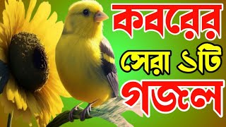 খুবই দুঃখের মরমী কণ্ঠে কবরের সেরার সেরা ১টি গজলbest emotionalকবর যেদিন ডাকবে আমায় সকাল সন্ধা বেলা [upl. by Nale]