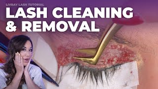 Oddly Satisfying Video  Deep Cleaning Eyelash Extensions  Clean with Me [upl. by Yanffit]