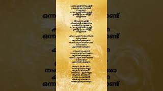 palapalli song lyrics songlyrics songlyricsvideo lyrics lyricsstatus music song movie [upl. by Einaj]