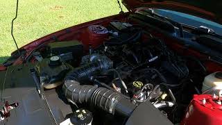 2008 Ford Mustang Convertible 4 0L V6 Vin160640 Burgundy Engine Running [upl. by Notsgnik]