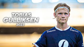 Tobias Gulliksen  Technical Winger  2023ᴴᴰ [upl. by Juli]