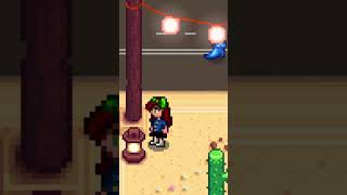 How to find the TRICORN HAT during the DESERT FESTIVAL in stardewvalley shorts gaming [upl. by Dela934]