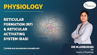 Physiology  Reticular formation RF amp Reticular activating system RAS  Raaonline [upl. by Debbee]