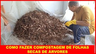 COMO FAZER COMPOSTAGEM DE FOLHAS SECAS DE ÁRVORES [upl. by Ianthe728]