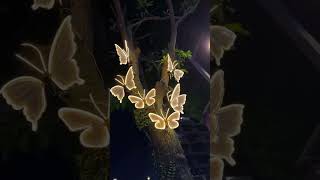 Automatic Opening amp Closing Waterproof Butterfly Decor – Perfect for Trees amp Walls [upl. by Ella]