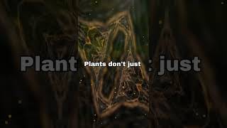 Botany for Beginners The Magic of Plant Life [upl. by Tace]