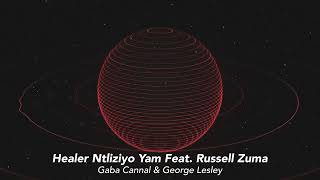 Gaba Cannal amp George Lesley  Healer Ntliziyo Yam Feat Russell Zuma Official Visualizer [upl. by Emelin]