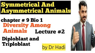 Symmetrical and Asymmetrical Animals Diploblast and Triploblastic Animals in Urdu Hindi By Dr Hadi [upl. by Meece]