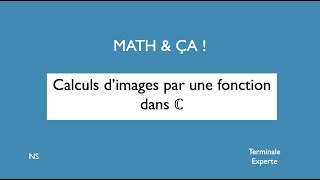 Calculs dimages par une fonction dans C [upl. by Waddle]