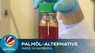 PalmölAlternative Wissenschaftler aus Harburg entwickeln quotgrüne Ölequot [upl. by Deys]