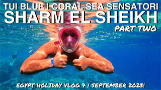 TUI BLUE  CORAL SEA SENSATORI RESORT  SHARM EL SHEIKH EGYPT  HOLIDAY VLOG 6  2023 [upl. by Beckie]