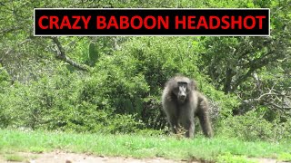 Crazy Baboon Hunting Headshot [upl. by Groeg]