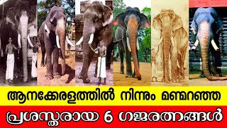 കേരളത്തിൽ നിന്നും മണ്മറഞ്ഞ ഗജരത്നങ്ങൾ  Top 10 Popular Elephants in Kerala  Kerala elephants [upl. by Pippo]