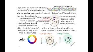 Fluorescence and FRET FörsterFluorescent Resonance Energy Transfer [upl. by Lekkim]