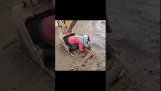 இரு உயிர் போராட்டம் savedogs saved shorts trending viral rain [upl. by Piwowar182]