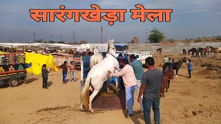 Horse unloading at chetak festival sarangkheda 2023 [upl. by Holder]