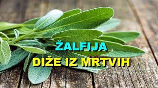 ŽALFIJA  DIŽE Iz MRTVIH [upl. by Eahsram]