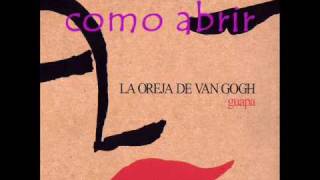 irreversible la oreja de van gogh [upl. by Ammann773]