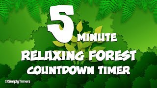 5 min relaxing forest countdown timer with background forest sounds for study classroom fitness [upl. by Rhoads]