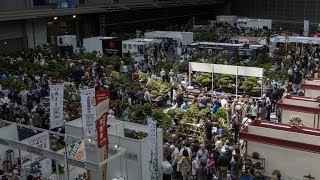 World Bonsai Convention 2017 Demonstration Highlights [upl. by Anastasius]