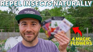 4 Flowers That REPEL INSECT PESTS Im Planting NOW And 1 To Avoid [upl. by Ilse]