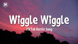 wiggle wiggle tiktok remix song [upl. by Fanestil]