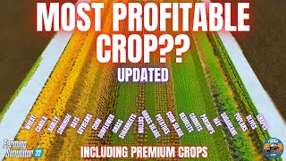 MOST PROFITABLE CROPS TEST  Farming Simulator 22 [upl. by Territus]