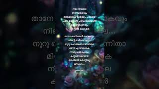 Neela nilave song lyrics 💙🩵💚💛 [upl. by Yahsed]