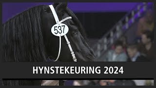 Jeppe 537 algemeen kampioen op Friese hengstenkeuring  HYNSTEKEURING 2024 [upl. by Hallock]